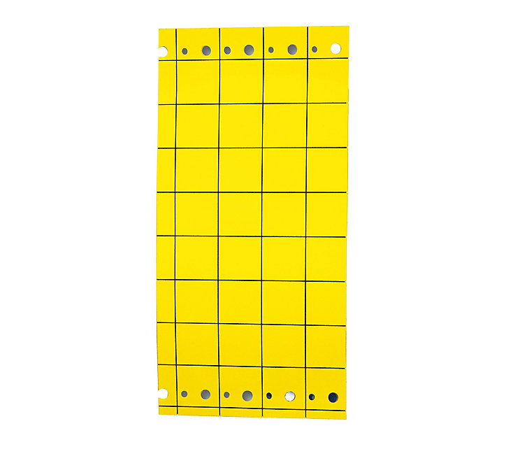 Piège englué jaune spécial insectes volants Biotop (10 plaques)