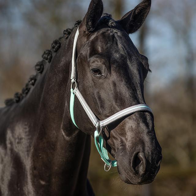 Halster QHP Flore Turquoise
