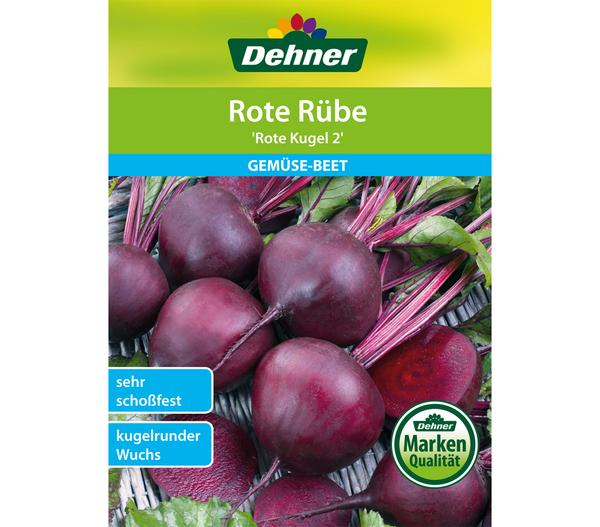 Dehner Samen Rote Rübe 'Rote Kugel 2'
