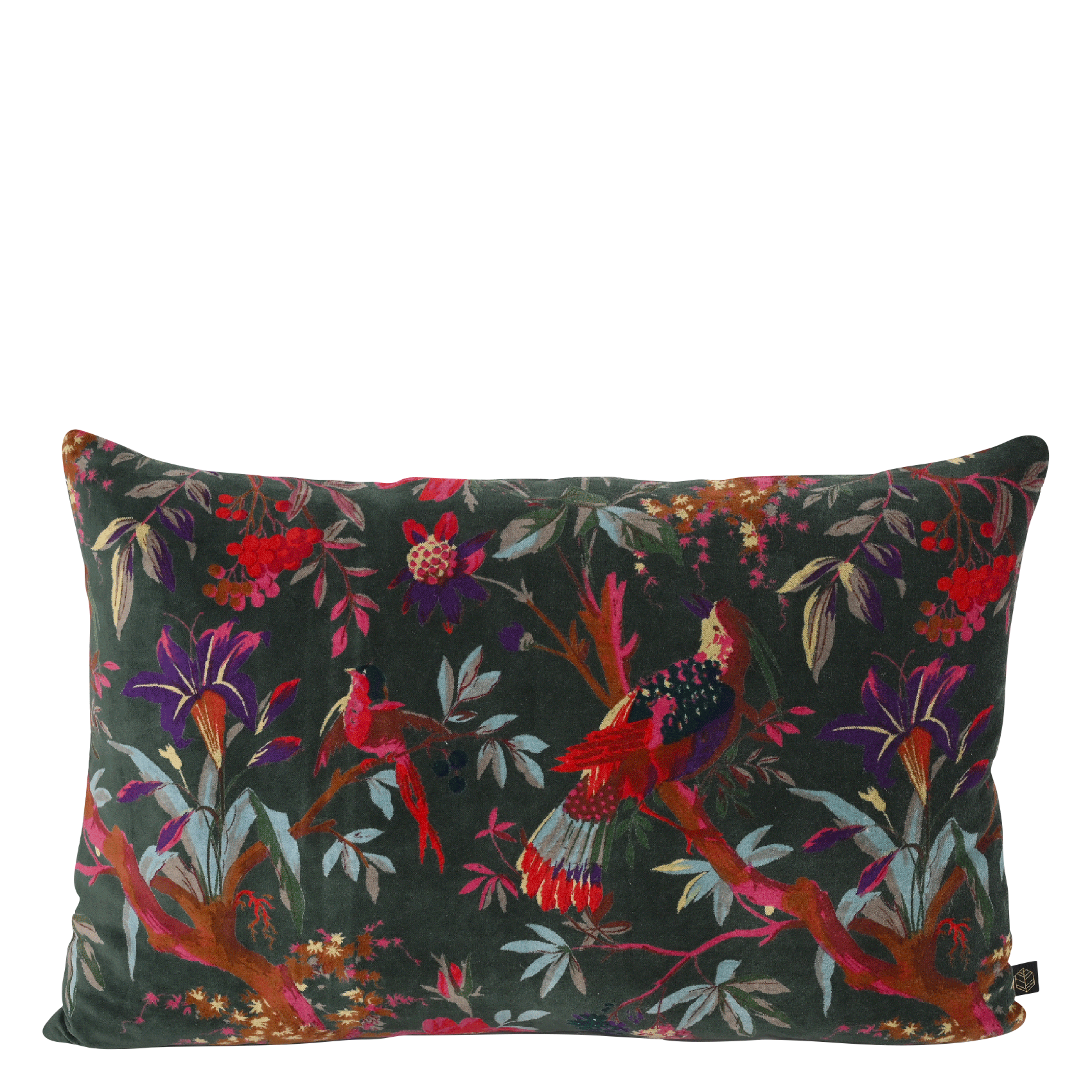 BIRDY - Housse de coussin imprimée en velours de coton | Gris
