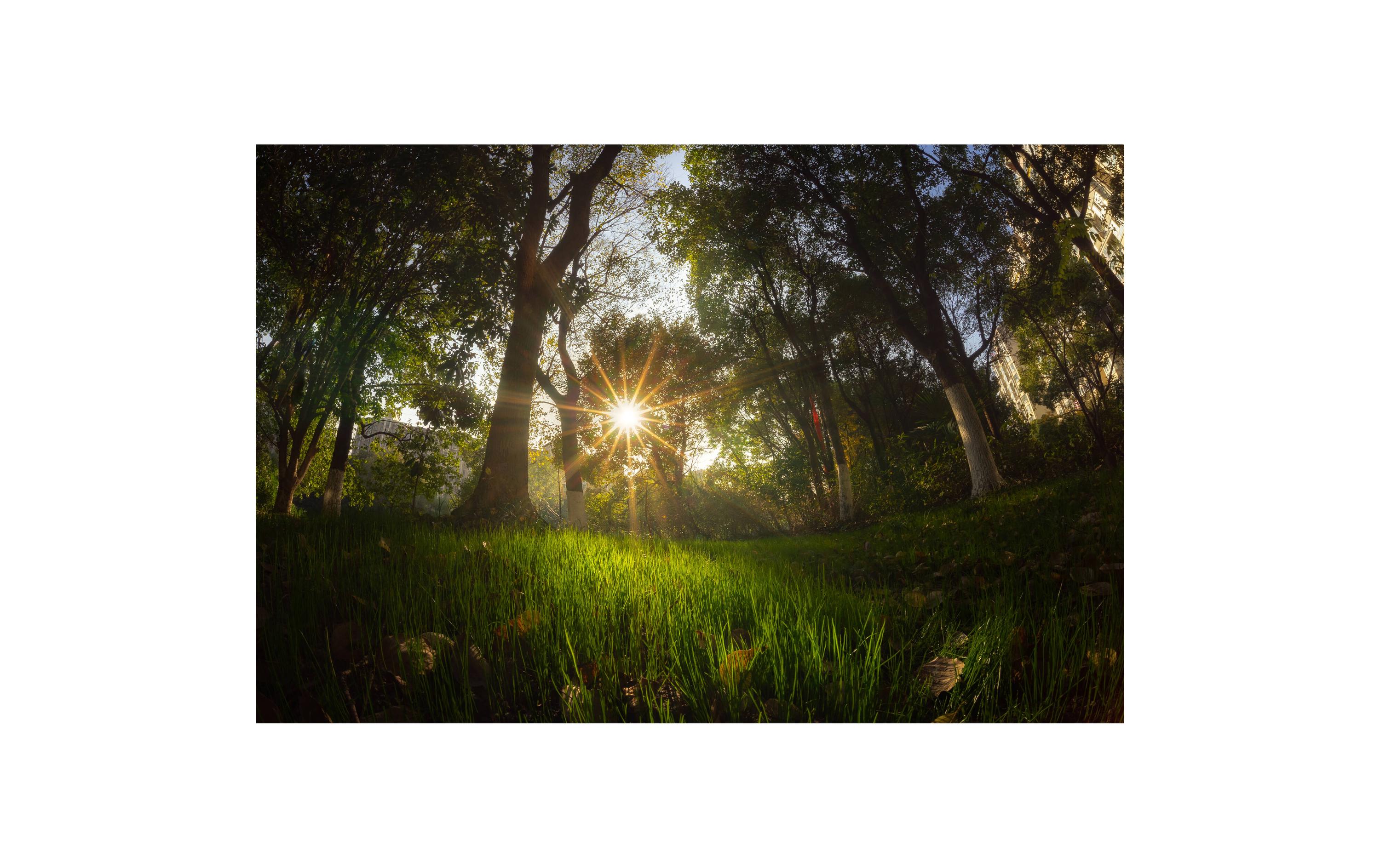 Festbrennweite 7.5mm F/2.8 Fisheye Mark II X-MountFestbrennweite der zweiten Generation