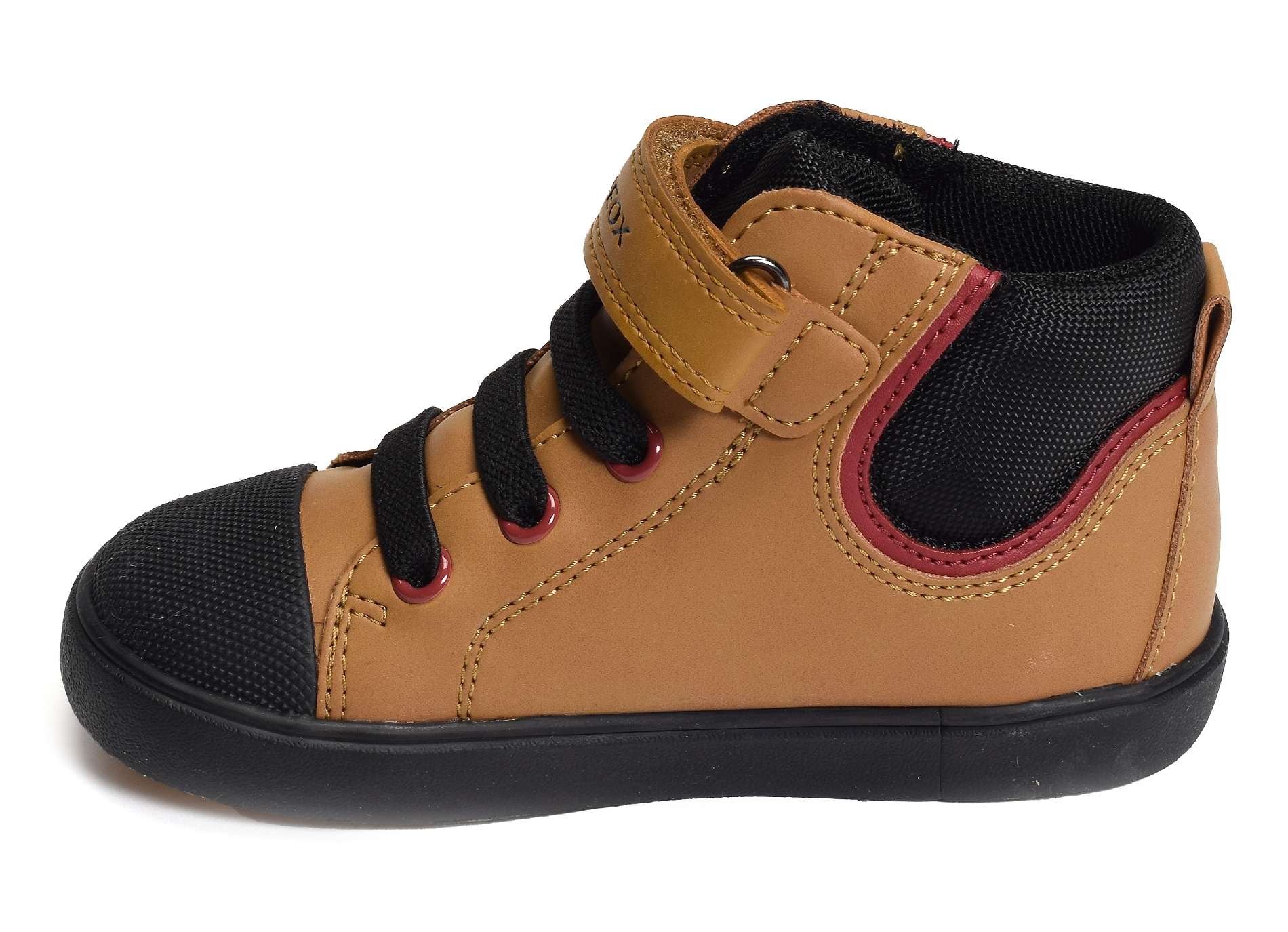 B gisli bc camel