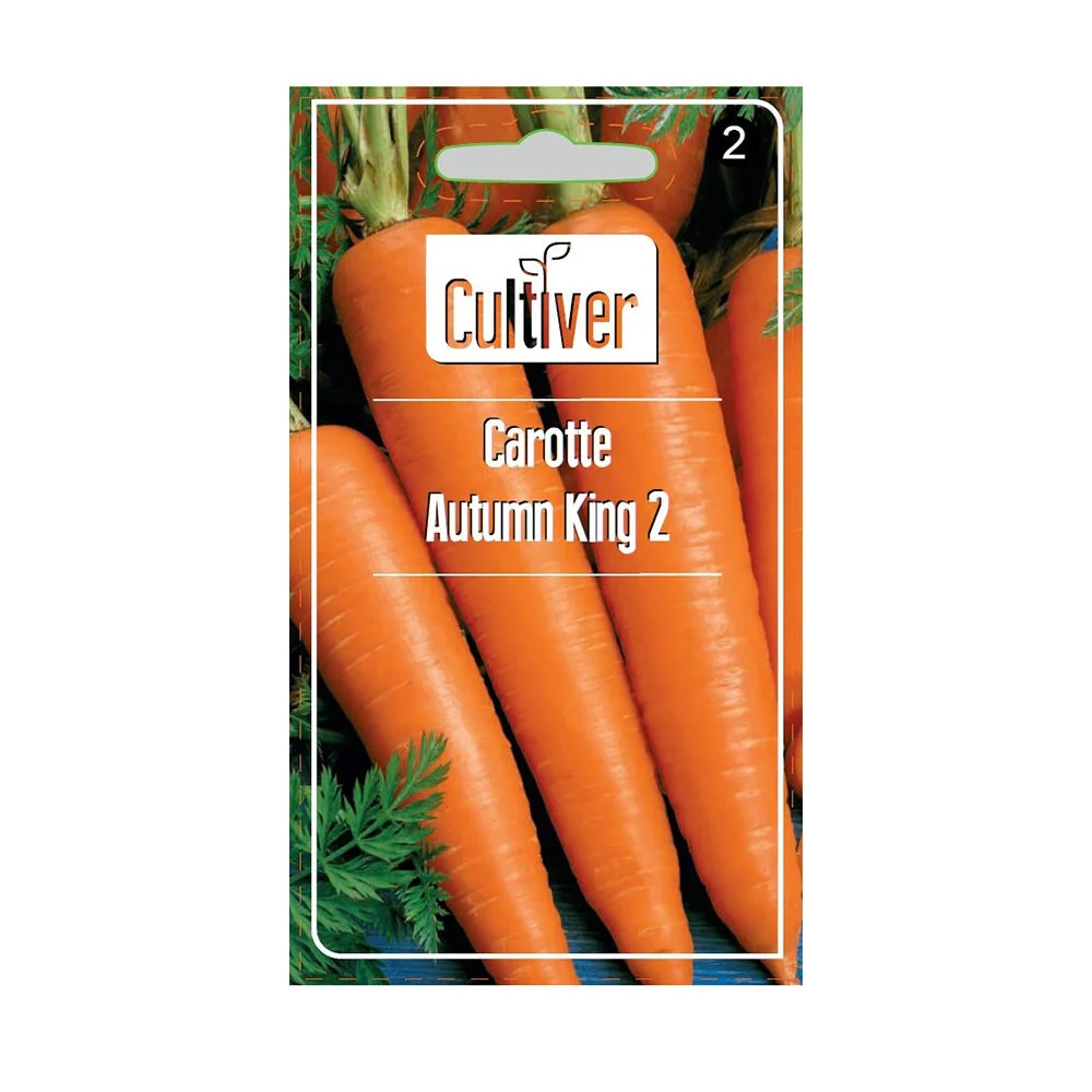 Semences de carottes King