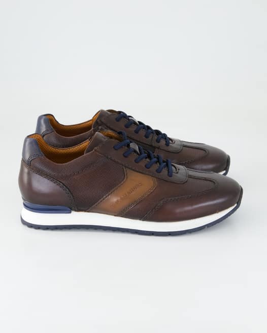 Salamander Daun Sneaker in Braun
