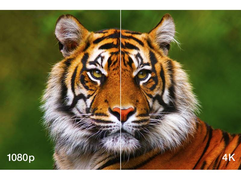 Epson Projektor EH-LS12000B 4K-Laserprojektor
