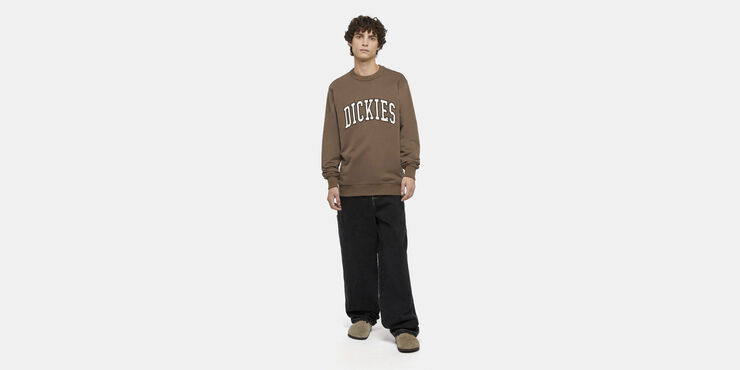 Dickies AITKIN SWEATSHIRT MUSHROOM/CLOUD Mushroom/cloud