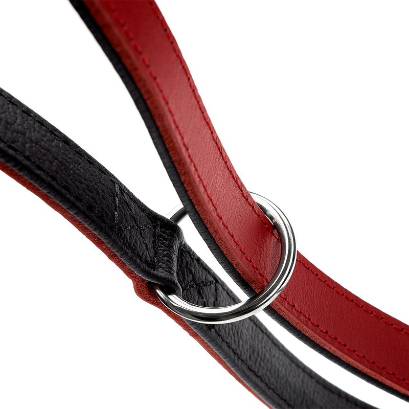 Laisse réglable HUNTER Love, rouge pour chien