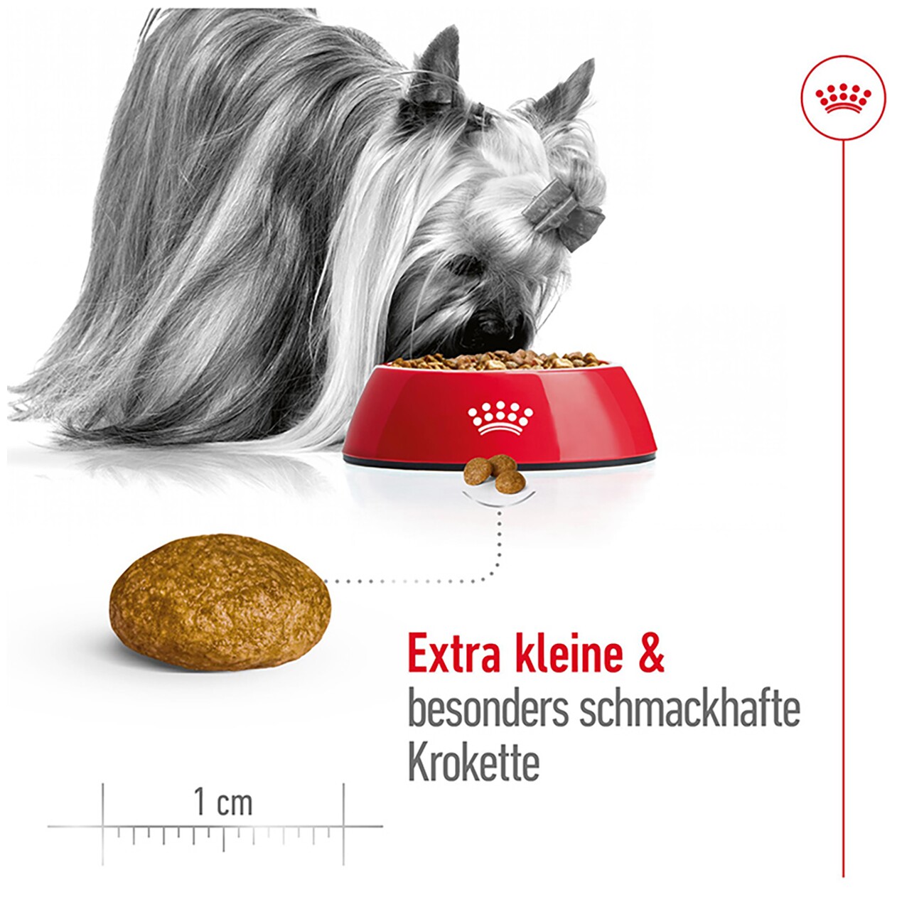 ROYAL CANIN Adult X-Small 1,5 kg