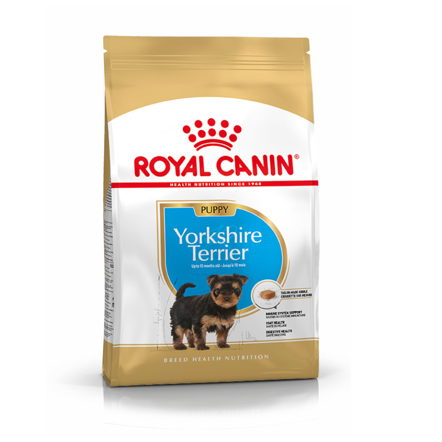 Ração Royal Canin para filhotes de Yorkshire Terrier