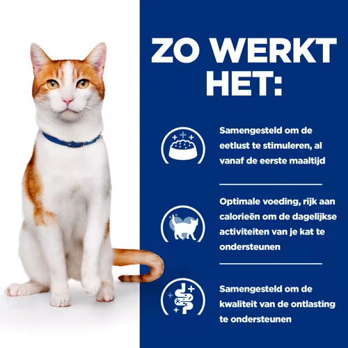 Hill's ON-Care Stoofpotje - Prescription Diet - Feline