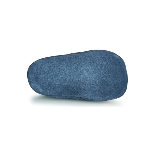 Citrouille et Compagnie - JATATA - Bleu