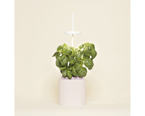 Slimme bloempot Prêt à Pousser Nano Quartz Pink, kunststof, roze, inclusief basilicumzaadcapsule