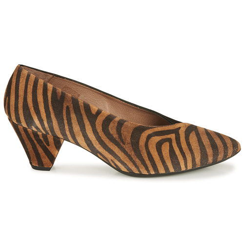Wonders - I7601-ZEBRATO-CUERO-ANTE-NEGRO - Marron