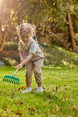 Hape Toys Kid’s Rake