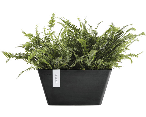 Ecopots Berlin plantenbak, kunststof, 25 x 25 x 12,8 cm, donkergrijs