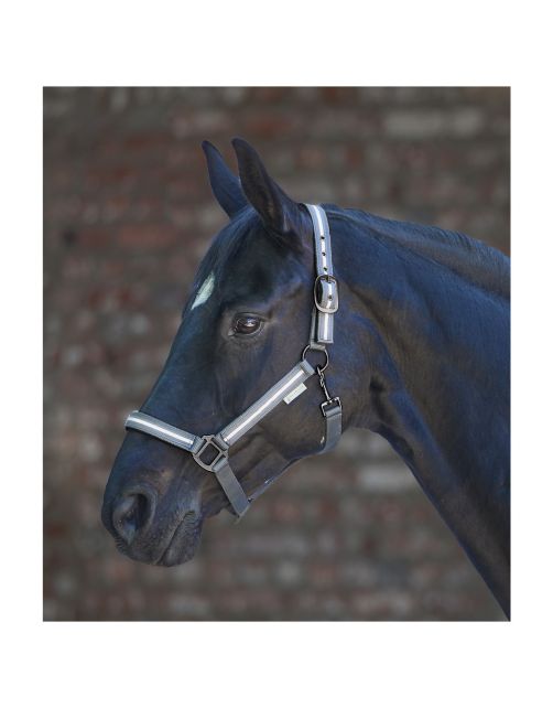 Waldhausen Halster Reflex Stripe Grijs - Paardenhalster
