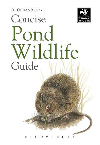 Concise Pond Wildlife Guide - Concise Guides (Paperback)
