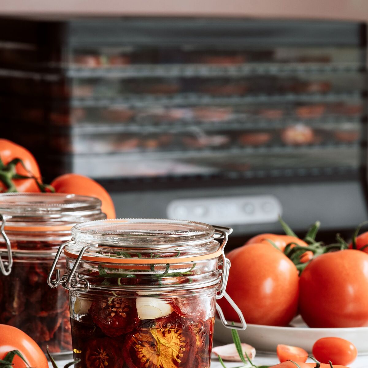 Dehydrator tørkeovn 5 lag