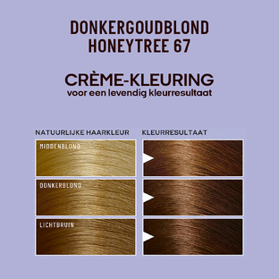 Guhl Pearlance Intensieve Crème-Kleuring N67 Donkergoudblond Honeytree 115ML