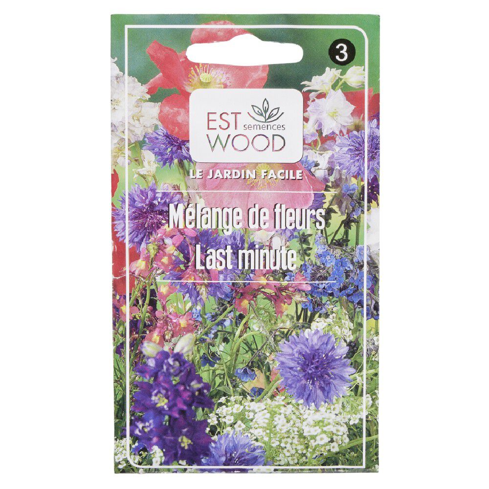 Semence de mélange de fleurs de dernière minute
