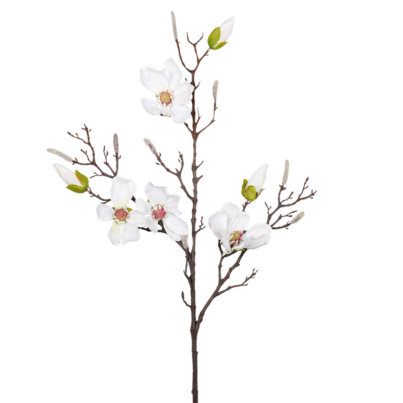 Tige de magnolia géante