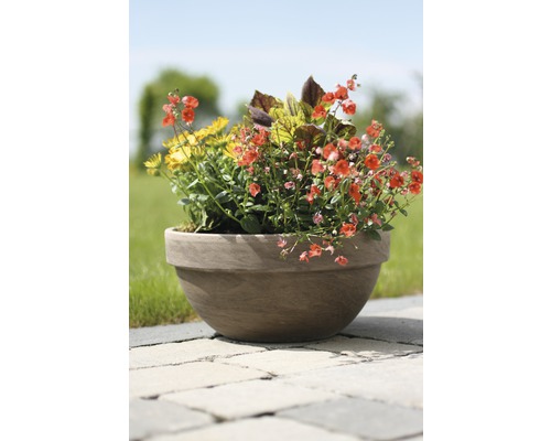 Plantenschaal Levy klei Ø 26 cm H 13 cm basalt