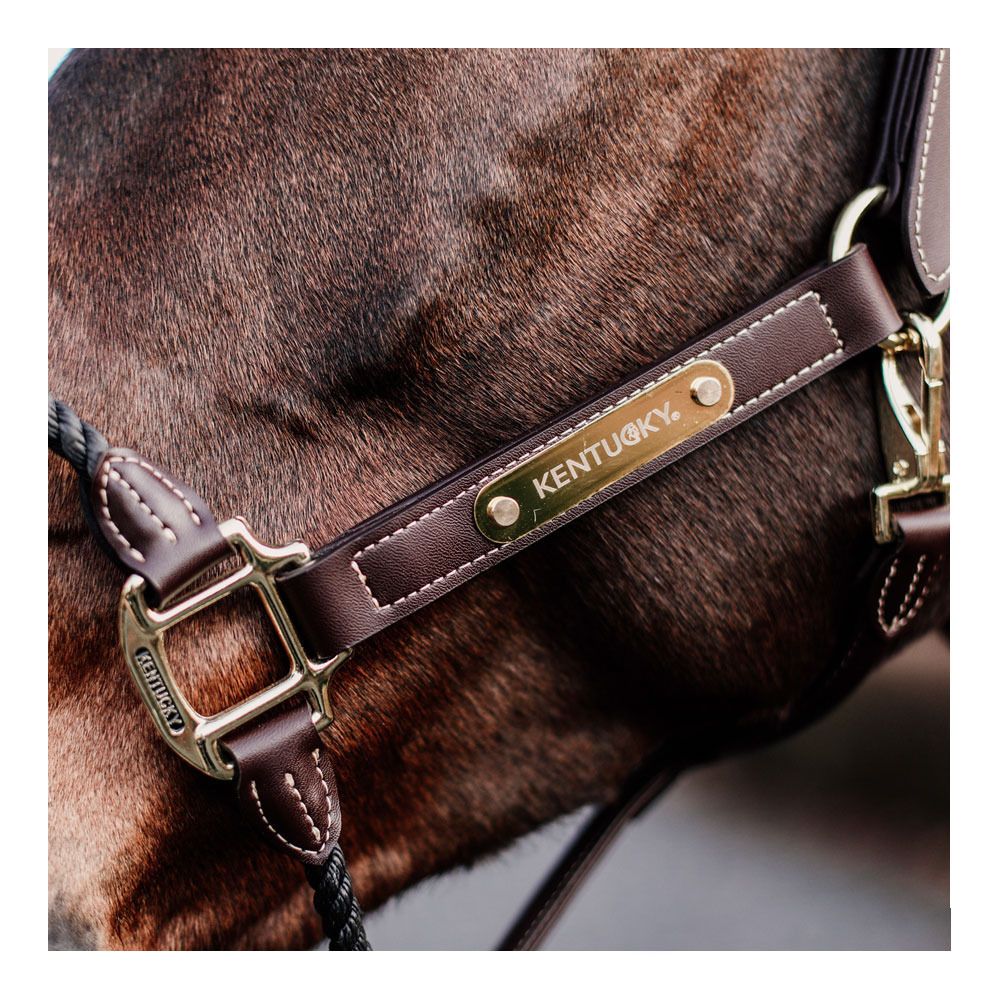 Kentucky ROPE CUIR - Licol brown