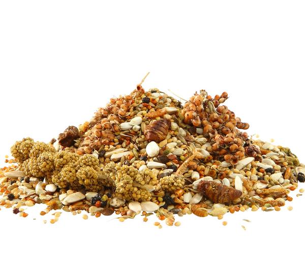 Dehner Best Nature Vogelfutter,