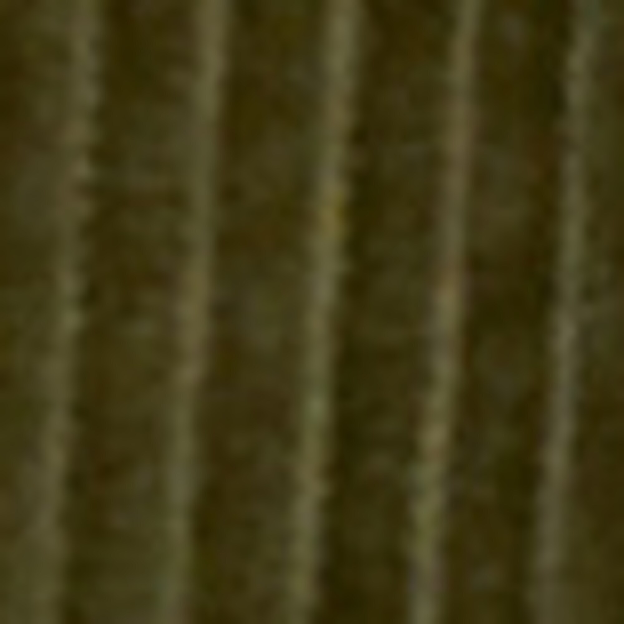 Wide Leg Pantsaus Breitcord