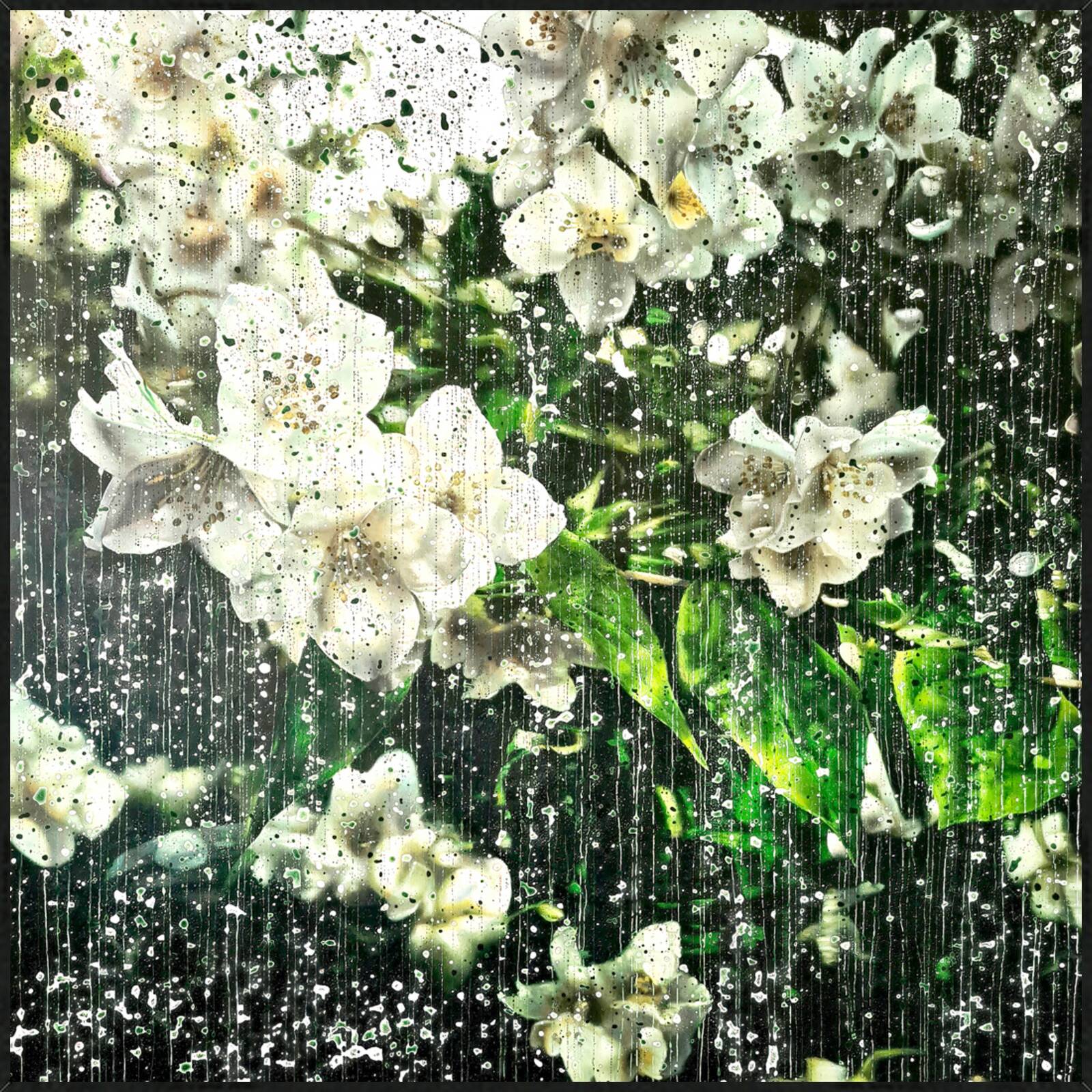 Jasmine Flowers 01 by An Doan Nguyen - Limited Edition. Edition of: 150. Signed.