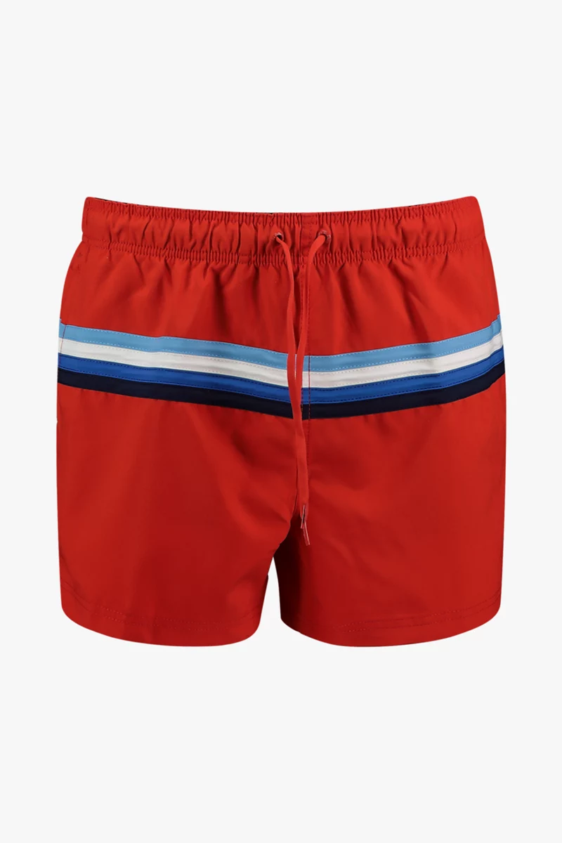 speedo SNA Colourblock Volley 14 Inch Herren Badeshort
