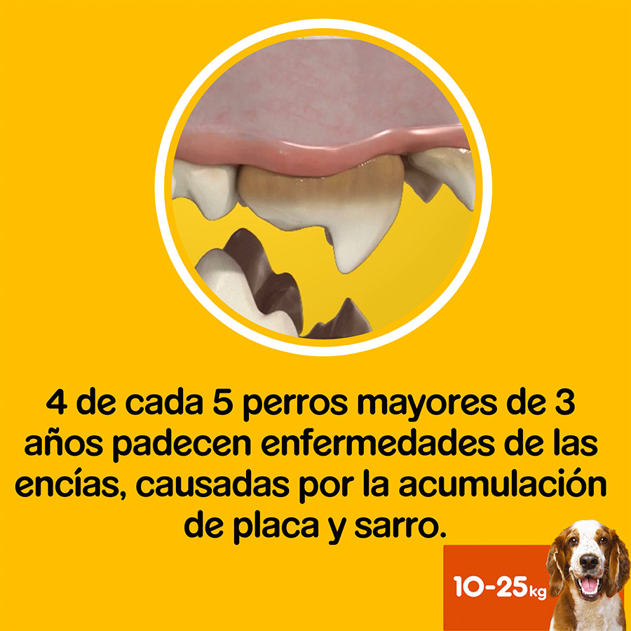 Pedigree Dentastix Petiscos Dentais Frescos para Cães de Porte Médio
