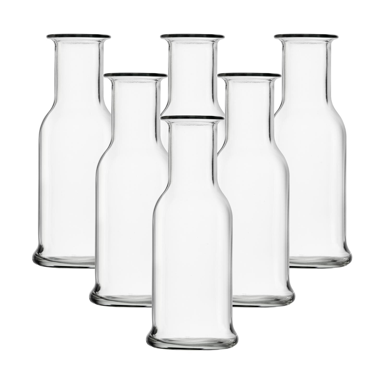 Stölzle Lausitz Karaffen Purity 500 ml 6er Set