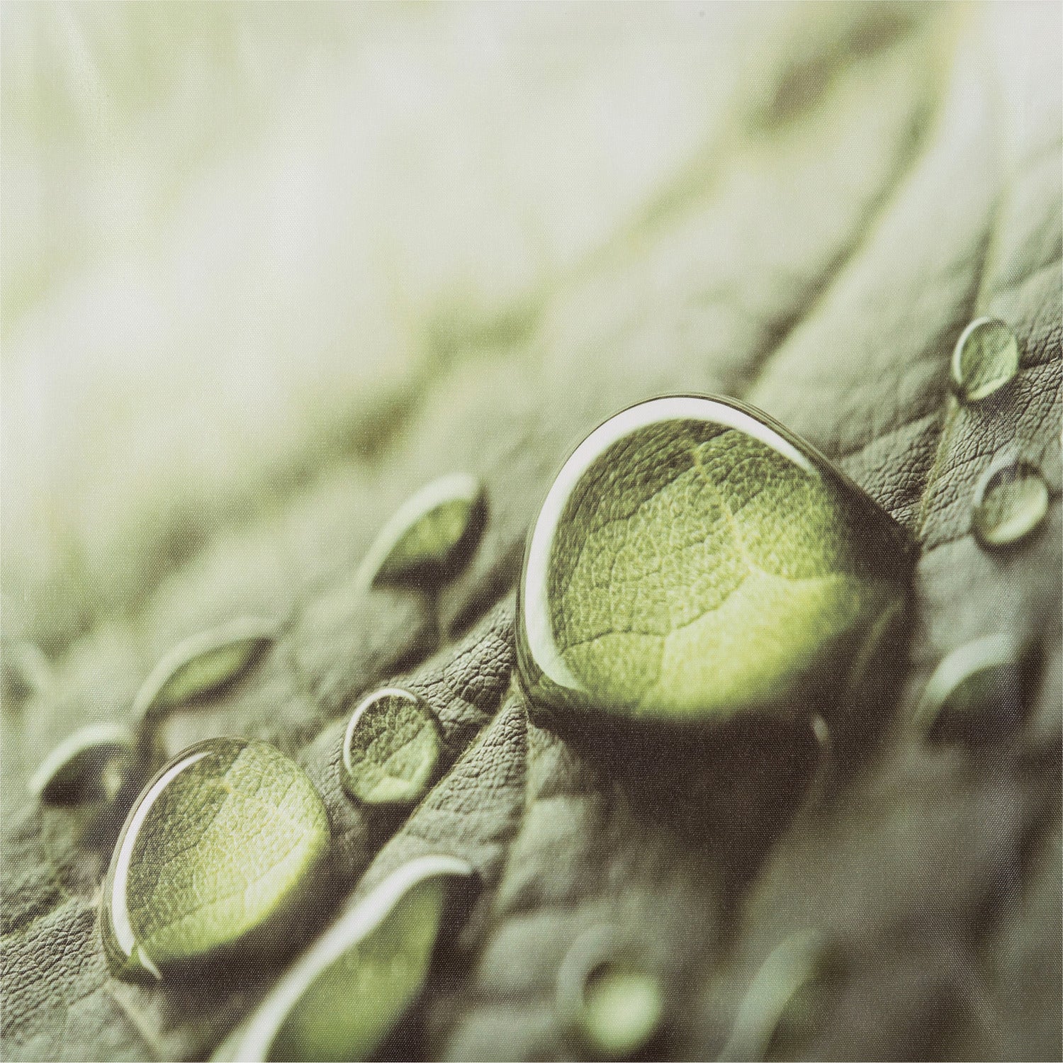 Intratuin tuinschilderij water druppel 50 x 50 cm