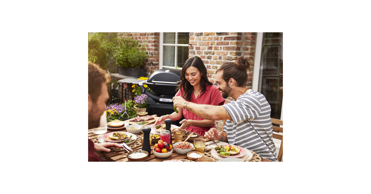 WeberQ 2800N+ gasbarbecue met onderstel  (Zwart, 2 Branders | Propaan/butaan)