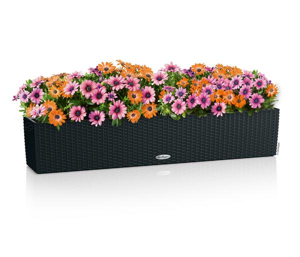 LECHUZA® Kunststoff-Kasten Balconera Cottage,
