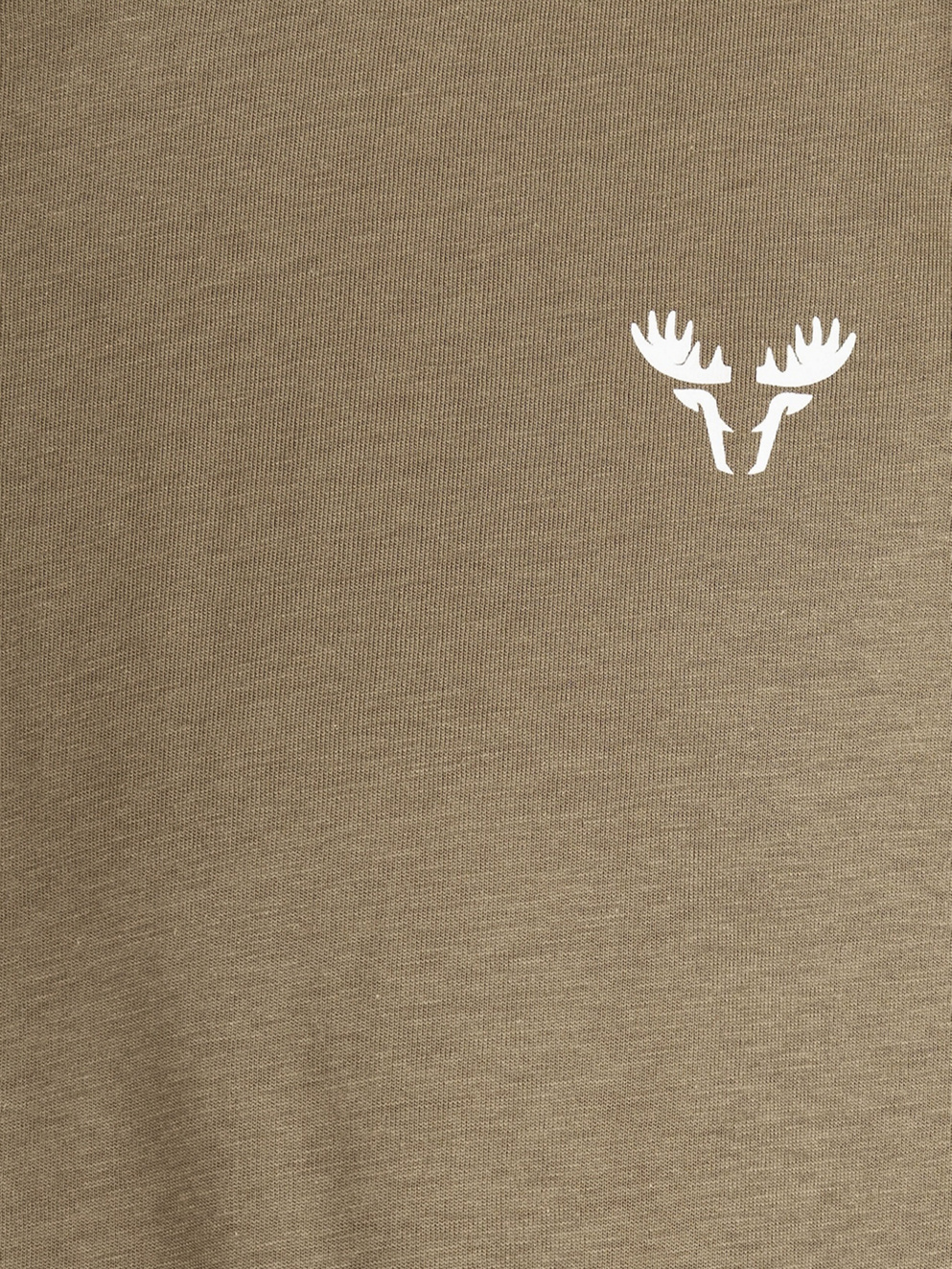 Fat Moose Ian T-Shirt dusty green