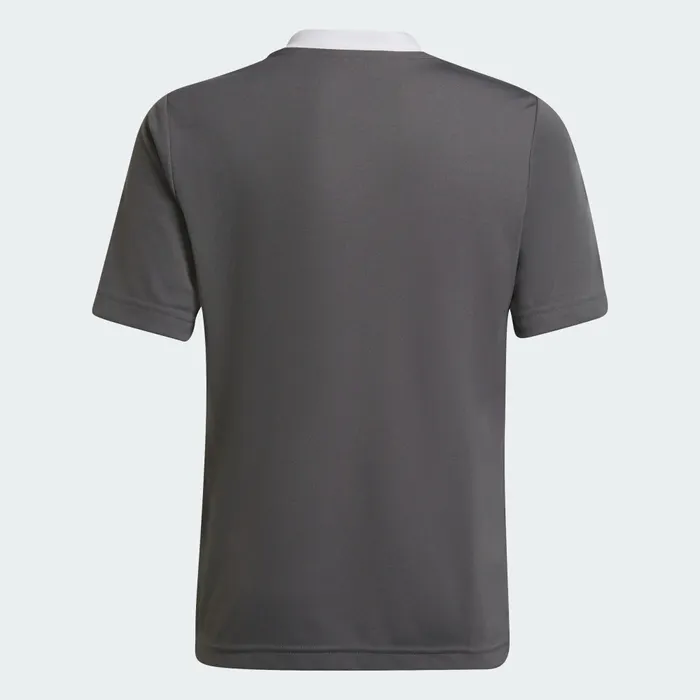 Adidas Entrada 22 SS Shirt Junior