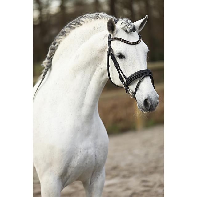 Hoofdstel HORSEGEAR HGLembut Soft Zwart