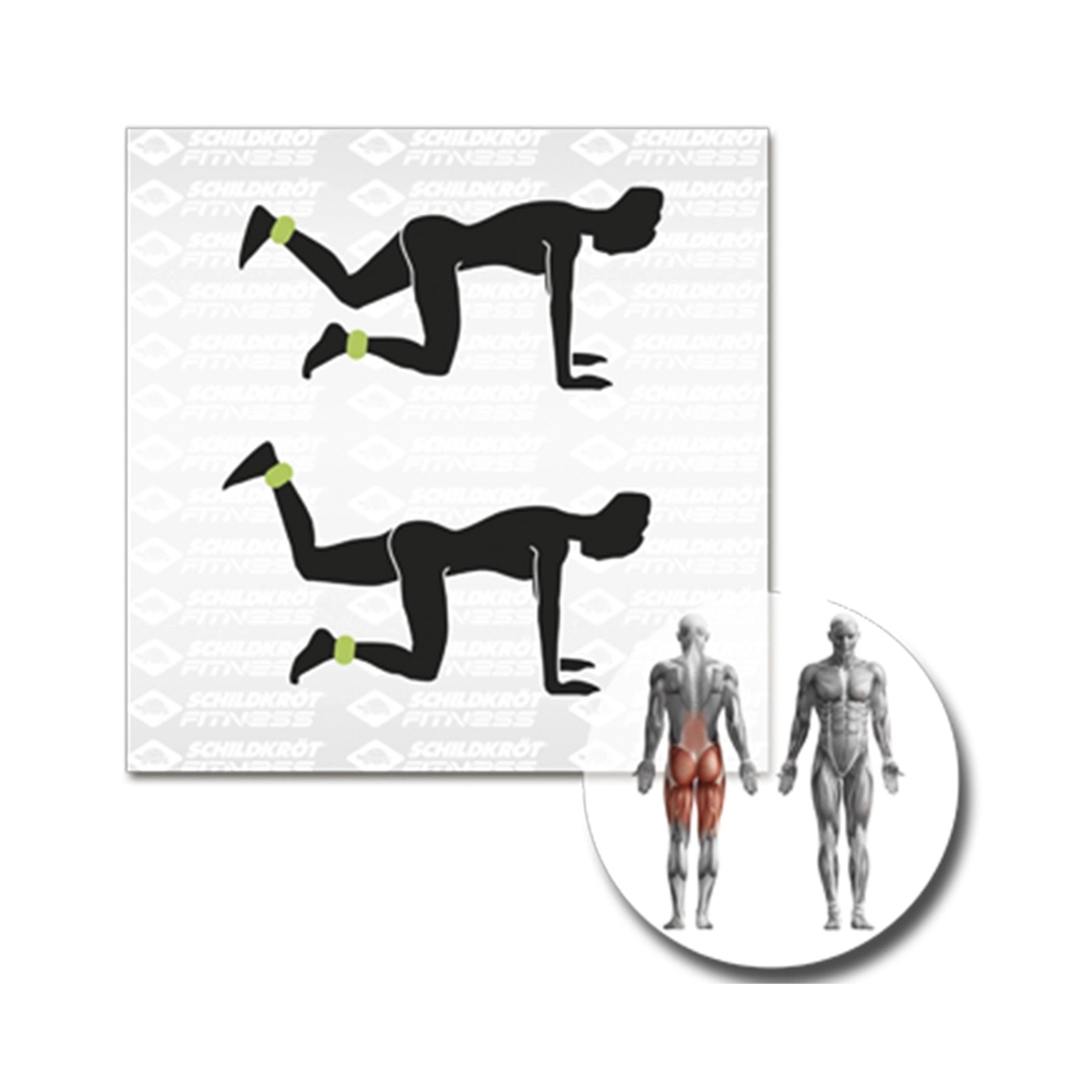 Schildkröt Gewichtsmanschette Arm-Bein 1.0kg Set