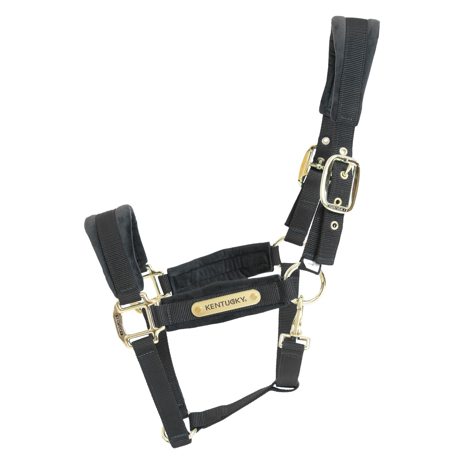KENTUCKY Halfter Velvet  - black