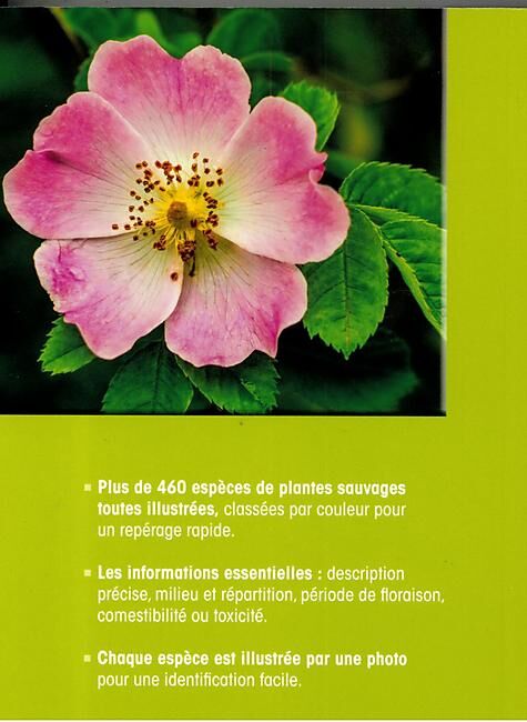 ARTEMIS - FLEURS SAUVAGES