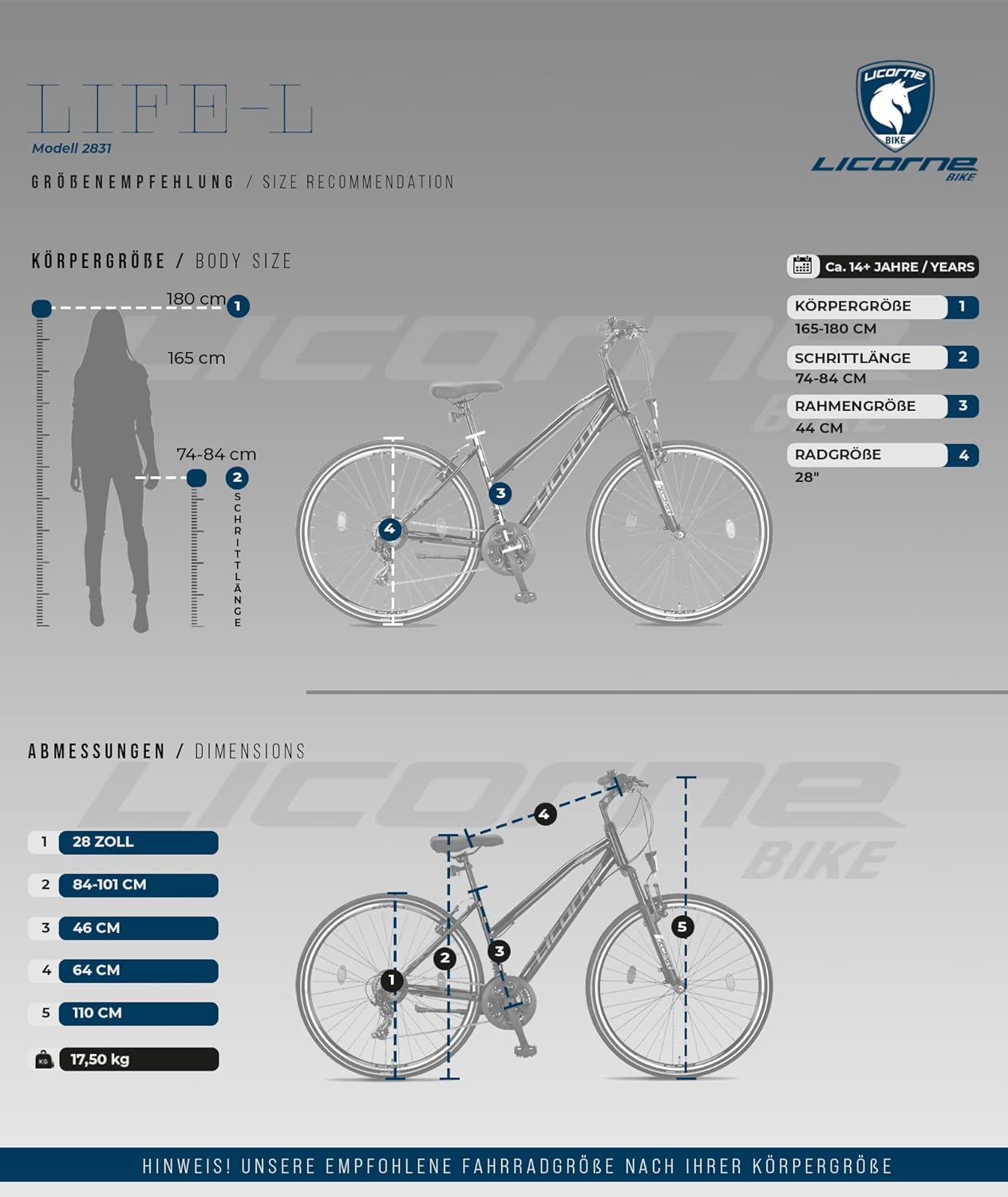 Bicicleta de Trekking Premium Licorne Bike Life-LV