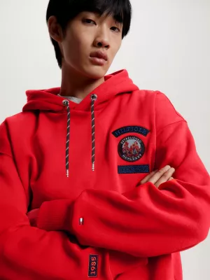 Moletom com capuz Mountain Badge Archive Fit