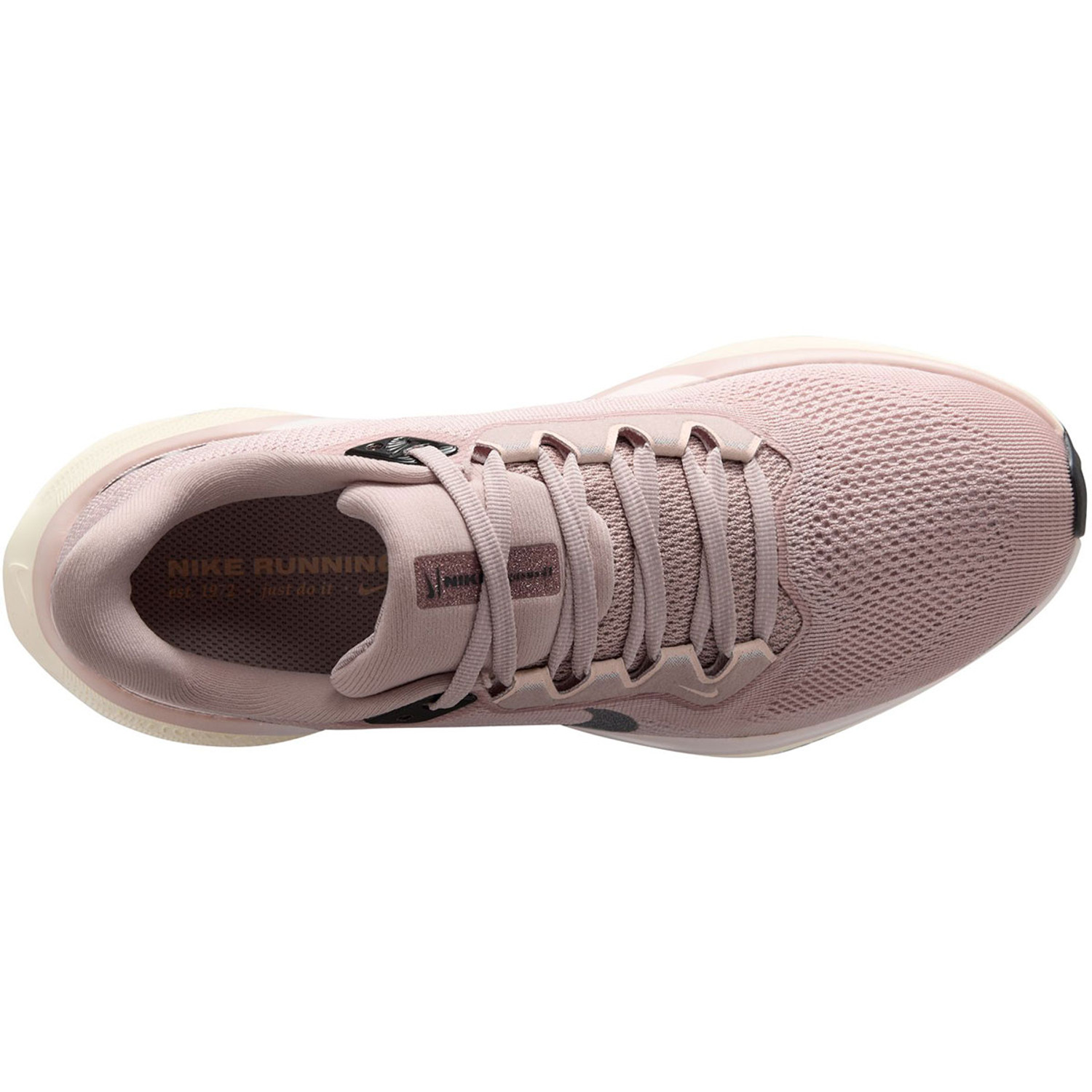Nike Pegasus 41 PRM Dames
