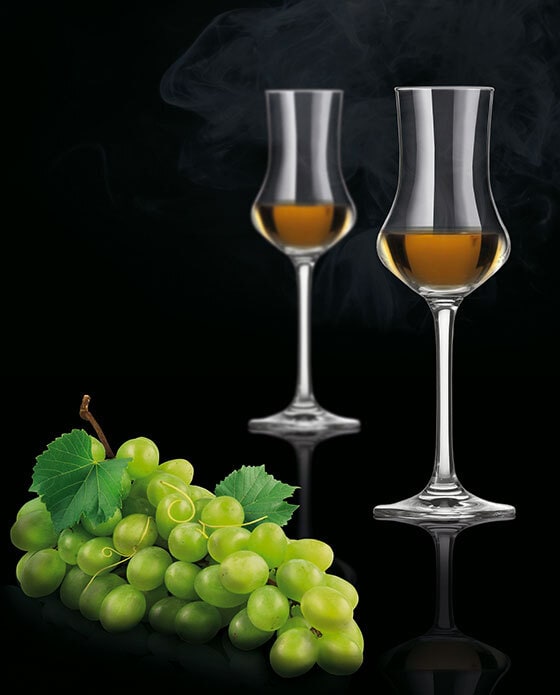 SCHOTT ZWIESEL Digestifglas CLASSICO 6er Set - je 95 ml