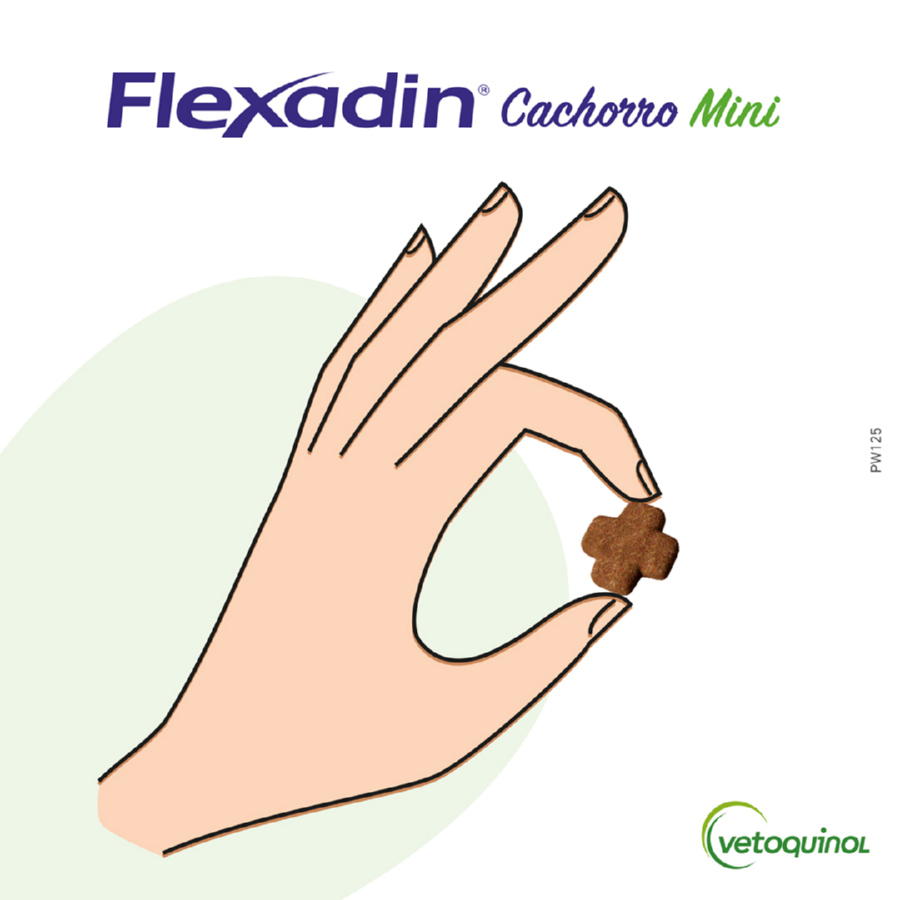 Vetoquinol Flexadin Young Mini Chondroprotector para cães