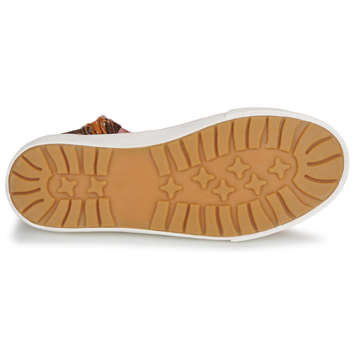 Kangaroos - KAVU X - Cognac