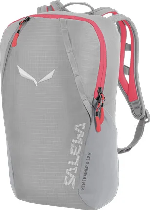 SalewaMTN Trainer 2 12 - grau