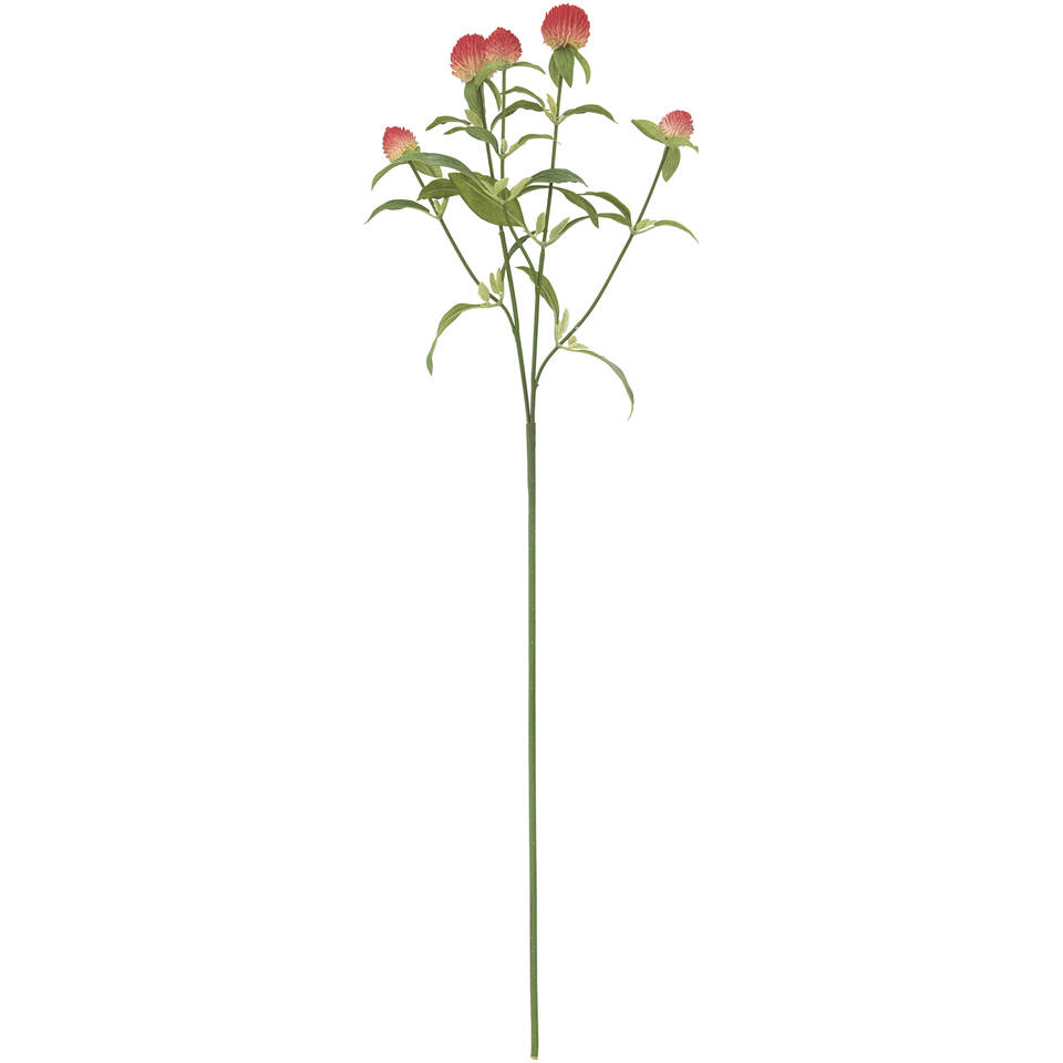 Kunstbloem Gomphrena Rood